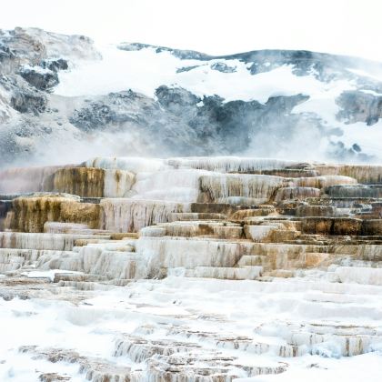 美国盐湖城+黄石国家公园5日4晚私家团 美国盐湖城+黄石国家公园5日4晚私家团