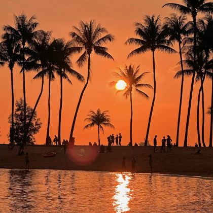 新加坡8日7晚私家团 新加坡8日7晚私家团