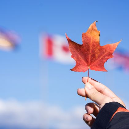 加拿大多伦多+渥太华+魁北克城8日7晚拼小团 加拿大多伦多+渥太华+魁北克城8日7晚拼小团