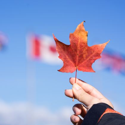 加拿大多伦多+渥太华+魁北克城8日7晚私家团 加拿大多伦多+渥太华+魁北克城8日7晚私家团