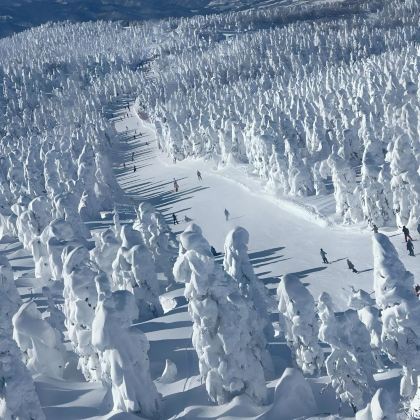 日本山形+秋田+青森+藏王温泉滑雪场+十和田湖+奥入濑溪流10日9晚自由行 日本山形+秋田+青森+藏王温泉滑雪场+十和田湖+奥入濑溪流10日9晚自由行