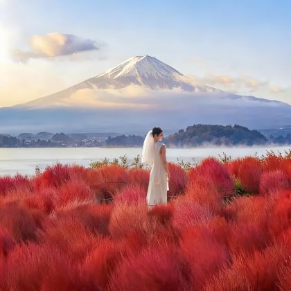 日本东京+京都+大阪7日6晚私家团 日本东京+京都+大阪7日6晚私家团