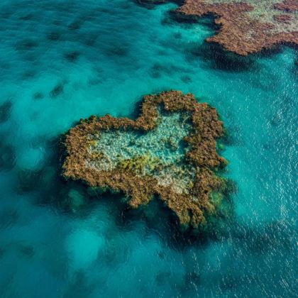 澳大利亚圣灵群岛+汉密尔顿岛+艾利滩5日自由行 澳大利亚圣灵群岛+汉密尔顿岛+艾利滩5日自由行