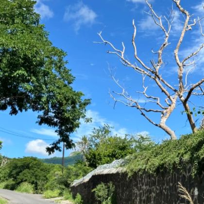 马达加斯加+毛里求斯11日10晚私家团 马达加斯加+毛里求斯11日10晚私家团