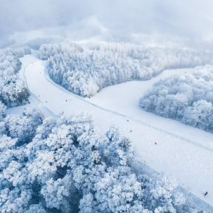 伊春3日2晚拼小团 伊春3日2晚拼小团