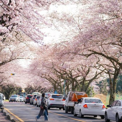 韩国首尔+济州岛7日6晚私家团 韩国首尔+济州岛7日6晚私家团