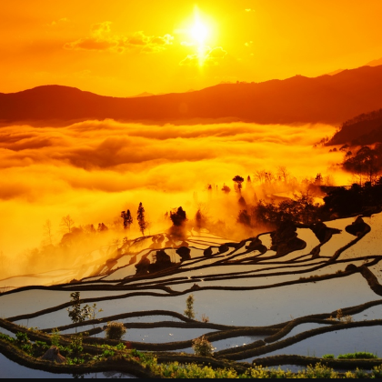 元阳哈尼梯田+碧色寨风景区+红河州博物馆+建水7日6晚私家团 元阳哈尼梯田+碧色寨风景区+红河州博物馆+建水7日6晚私家团