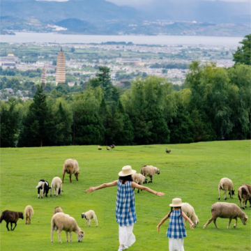 昆明+大理市+丽江6日5晚私家团 昆明+大理市+丽江6日5晚私家团