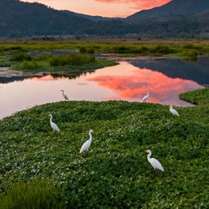 云南腾冲+瑞丽+芒市5日4晚拼小团 云南腾冲+瑞丽+芒市5日4晚拼小团