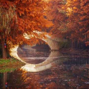 宣城+查济+落羽红杉林景区+储家滩4日3晚私家团 宣城+查济+落羽红杉林景区+储家滩4日3晚私家团