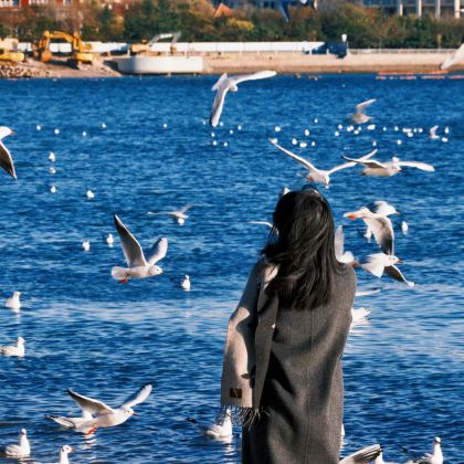 青岛+威海+烟台6日5晚私家团 青岛+威海+烟台6日5晚私家团