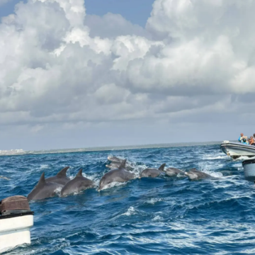 坦桑尼亚10日9晚跟团游 坦桑尼亚10日9晚跟团游