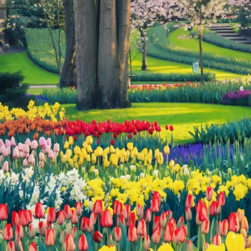 荷兰9日8晚拼小团 荷兰9日8晚拼小团