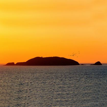 浙江普陀山2日1晚跟团游 浙江普陀山2日1晚跟团游