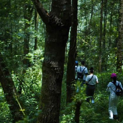 亲近自然·保山腾冲6日游学亲子营丨高黎贡山轻徒步丨自然植物魔法丨丛林拾菌丨山野BBQ丨小小玉雕师丨火山公园地理小课堂丨湿地鸟类知识认知丨古法捕鱼体验丨手工制作皮影丨自制手冲小粒咖啡丨欢乐边城时光 亲近自然·保山腾冲6日游学亲子营丨高黎贡山轻徒步丨自然植物魔法丨丛林拾菌丨山野BBQ丨小小玉雕师丨火山公园地理小课堂丨湿地鸟类知识认知丨古法捕鱼体验丨手工制作皮影丨自制手冲小粒咖啡丨欢乐边城时光