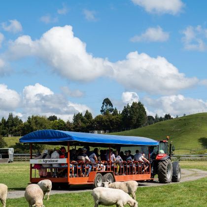 新西兰奥克兰+基督城+皇后镇+特卡波湖+库克山村+瓦纳卡+皇后镇天空缆车9日8晚自由行 新西兰奥克兰+基督城+皇后镇+特卡波湖+库克山村+瓦纳卡+皇后镇天空缆车9日8晚自由行