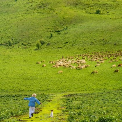 承德+乌兰布统旅游区+木兰围场+坝上5日4晚私家团 承德+乌兰布统旅游区+木兰围场+坝上5日4晚私家团