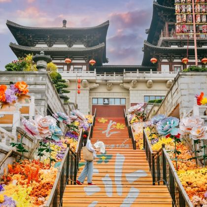 长沙4日3晚私家团 长沙4日3晚私家团