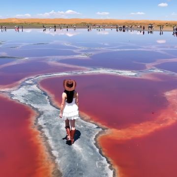 银川+中卫5日4晚跟团游 银川+中卫5日4晚跟团游