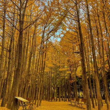 首尔+釜山+庆州7日6晚私家团 首尔+釜山+庆州7日6晚私家团