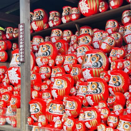 日本东京+大阪+京都+伊豆市+富士山+奈良市7日6晚跟团游 日本东京+大阪+京都+伊豆市+富士山+奈良市7日6晚跟团游