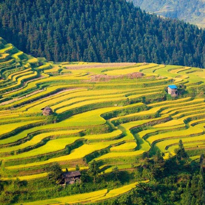 丽水仙都景区+云和梯田景区+古堰画乡景区2日自由行