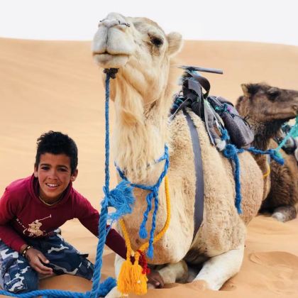 摩洛哥+突尼斯+撒哈拉沙漠13日跟团游