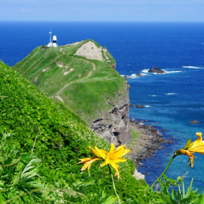 日本北海道5日4晚私家团