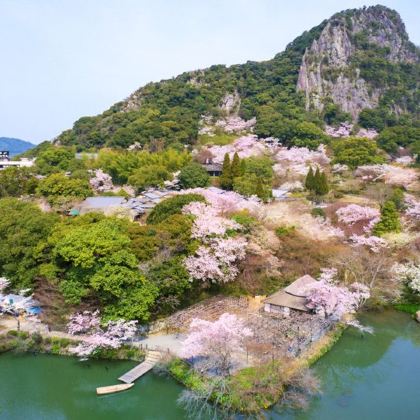 日本福冈+太宰府天满宫+武雄温泉+嬉野温泉+别府+由布院之森观光列车6日5晚私家团 日本福冈+太宰府天满宫+武雄温泉+嬉野温泉+别府+由布院之森观光列车6日5晚私家团