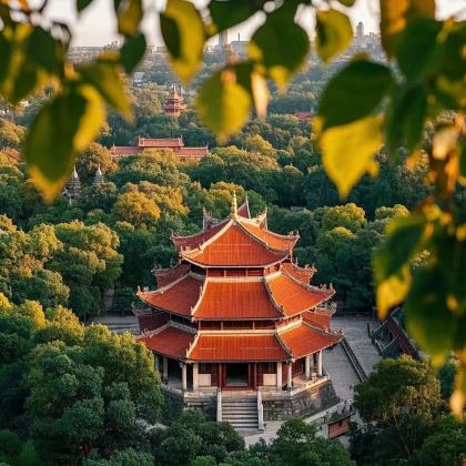 鼓浪屿+泉州开元寺+三坊七巷+武夷山国家公园8日7晚拼小团 鼓浪屿+泉州开元寺+三坊七巷+武夷山国家公园8日7晚拼小团
