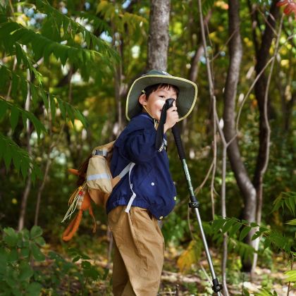 长沙+天门山+大峡谷+凤凰古城+张家界国家森林公园7日6晚私家团 长沙+天门山+大峡谷+凤凰古城+张家界国家森林公园7日6晚私家团