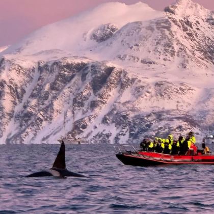 芬兰+挪威7日6晚自由行 芬兰+挪威7日6晚自由行