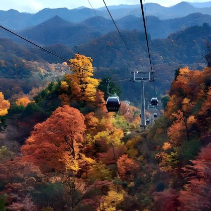 宝鸡黄柏塬+华阳古镇+汉中龙头山国际旅游度假区+黎坪森林公园+光雾山旅游景区+米仓山国家森林公园+十八月潭景区7日6晚私家团 宝鸡黄柏塬+华阳古镇+汉中龙头山国际旅游度假区+黎坪森林公园+光雾山旅游景区+米仓山国家森林公园+十八月潭景区7日6晚私家团