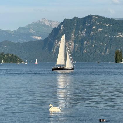 意大利+法国+瑞士13日11晚拼小团 意大利+法国+瑞士13日11晚拼小团