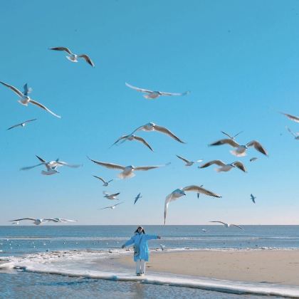 秦皇岛+北戴河+山海关区4日3晚跟团游 秦皇岛+北戴河+山海关区4日3晚跟团游