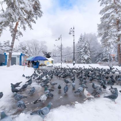 伊犁-阿拉套国家公园+大阿拉木图湖2日1晚私家团 伊犁-阿拉套国家公园+大阿拉木图湖2日1晚私家团
