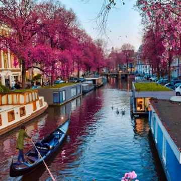 荷兰+法国12日11晚跟团游 荷兰+法国12日11晚跟团游