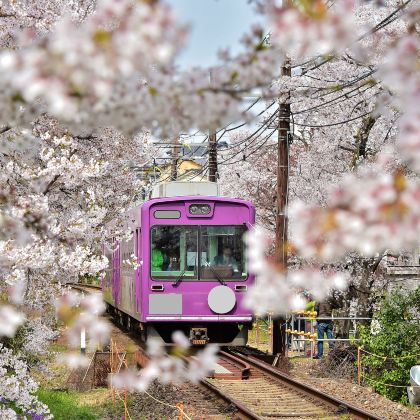 日本大阪+京都+奈良市7日6晚拼小团 日本大阪+京都+奈良市7日6晚拼小团
