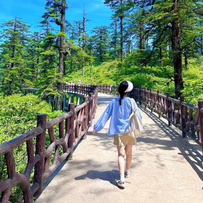 瓦屋山景区2日1晚跟团游 瓦屋山景区2日1晚跟团游