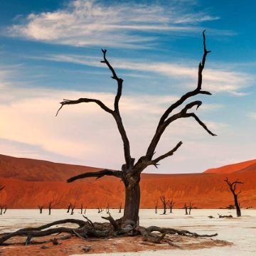 津巴布韦+赞比亚+博茨瓦纳+纳米比亚16日13晚跟团游 津巴布韦+赞比亚+博茨瓦纳+纳米比亚16日13晚跟团游