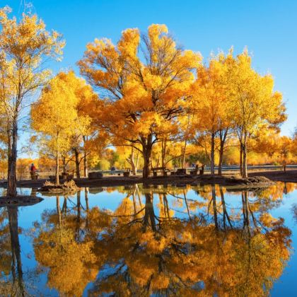 兰州+武威+酒泉+额济纳旗4日3晚私家团 兰州+武威+酒泉+额济纳旗4日3晚私家团