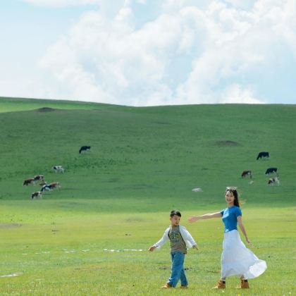 秦皇岛+北戴河+承德+乌兰布统草原+木兰围场+坝上5日4晚私家团 秦皇岛+北戴河+承德+乌兰布统草原+木兰围场+坝上5日4晚私家团