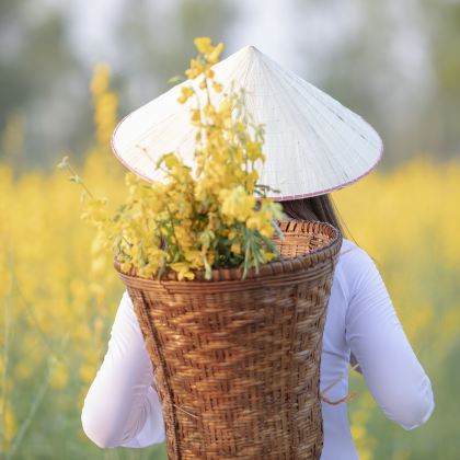 越南河内+下龙湾5日4晚跟团游 越南河内+下龙湾5日4晚跟团游