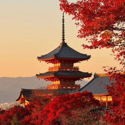 日本东京+富士山+大阪+京都+奈良10日9晚跟团游 日本东京+富士山+大阪+京都+奈良10日9晚跟团游