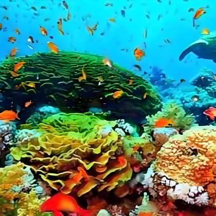 徐闻+中国大陆南极村+灯楼角+珊湖碓+菠萝的海+白沙湾+大汉三墩旅游区+徐闻古港+登云塔5日4晚私家团 徐闻+中国大陆南极村+灯楼角+珊湖碓+菠萝的海+白沙湾+大汉三墩旅游区+徐闻古港+登云塔5日4晚私家团