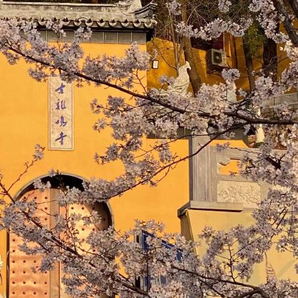 无锡+溧阳+南京+扬州+泰州+盐城12日11晚私家团 无锡+溧阳+南京+扬州+泰州+盐城12日11晚私家团