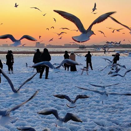 北戴河+承德+坝上+乌兰布统+木兰围场6日5晚跟团游 北戴河+承德+坝上+乌兰布统+木兰围场6日5晚跟团游