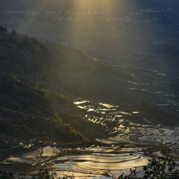 昆明+弥勒+普者黑景区+蒙自+建水+抚仙湖8日7晚私家团 昆明+弥勒+普者黑景区+蒙自+建水+抚仙湖8日7晚私家团