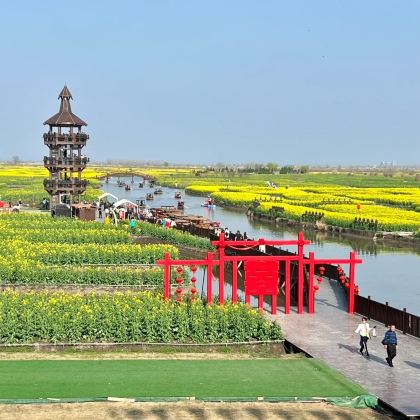 泰州+千垛景区+凤城河风景区+溱潼古镇3日2晚私家团 泰州+千垛景区+凤城河风景区+溱潼古镇3日2晚私家团