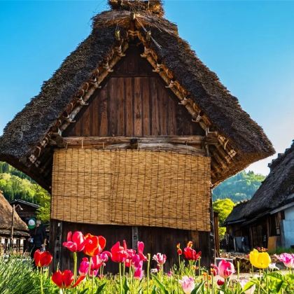 日本名古屋+飞驒高山+白川乡+伊势市+马笼宿5日4晚跟团游 日本名古屋+飞驒高山+白川乡+伊势市+马笼宿5日4晚跟团游